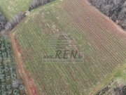 Poljoprivredno zemljište  - Brtonigla (01933)