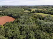 Poljoprivredno zemljište - Umag (01547)