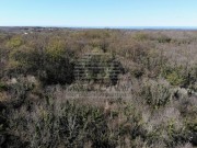 Poljoprivredno zemljište  - Umag (01501)