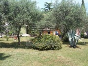 Istarska kuča  - Novigrad (01376)