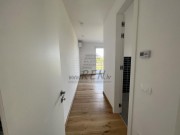 Vila - Novigrad (00129)