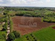 Poljoprivredno zemljište - Brtonigla (00460)
