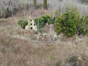 Istarska kuča - Buje (01655)