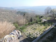 Istarska kuča - Buje (01364)