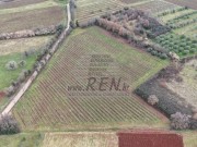 Poljoprivredno zemljište  - Brtonigla (01932)