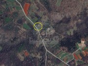 Kuća - Oprtalj (01925)