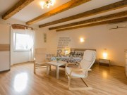 Istarska kuča - Pula (01709)