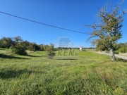 Građevinsko zemljište - Buje (01569)