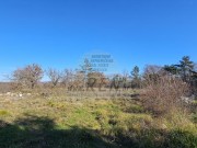 Građevinsko zemljište  - Buje (01737)