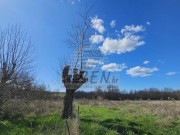 Građevinsko zemljište - Umag (01784)