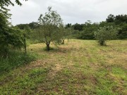 Kuća - Medulin (01753)