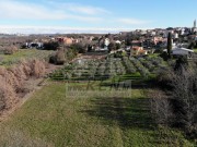 Građevinsko zemljište - Brtonigla (01474)