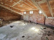 Istarska kuča - Buje (01780)