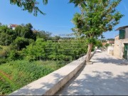 Građevinsko zemljište - Otok Brač (00310)