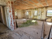 Istarska kuča - Buje (01780)