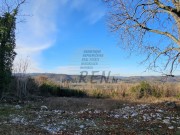 Istarska kuča - Buzet (01640)