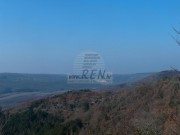 Istarska kuča - Motovun (01358)