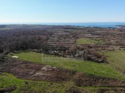Poljoprivredno zemljište - Novigrad (00264)