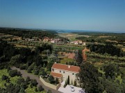 Vila - Novigrad (00107)
