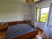 Kuća - Novigrad (01521)