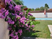 Kuća - Medulin (01648)