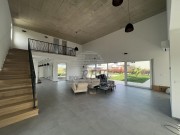 Vila - Novigrad (00129)