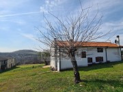Kuća  - Buje (01496)