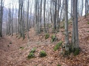 Građevinsko zemljište - Mrkopalj (01356)