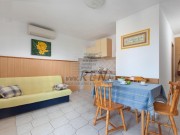 Kuća - Novigrad (00252)