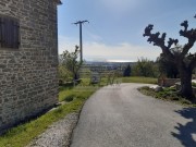 Istarska kuča - Buje (00116)