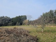 Građevinsko zemljište  - Umag (01781)