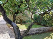 Istarska kuča - Novigrad (01871)