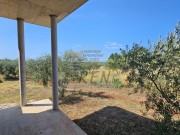 Kuća - Novigrad (00506)