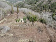 Istarska kuča - Buje (01655)