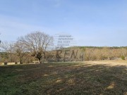 Vila - Buje (00242)