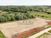 Poljoprivredno zemljište - Brtonigla (00467)