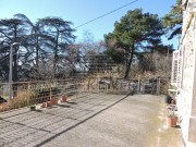 Istarska kuča - Buje (01370)