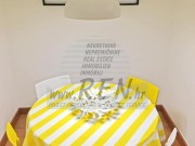 Stan - Novigrad (01786)