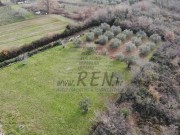 Građevinsko zemljište - Novigrad (00037)