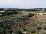 Građevinsko zemljište - Brtonigla (01396)