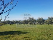 Građevinsko zemljište - Buje (01452)