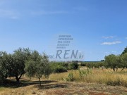 Kuća - Novigrad (00506)
