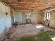 Istarska kuča - Buje (01780)