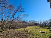 Istarska kuča - Buje (00116)