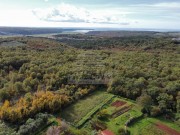 Građevinsko zemljište - Novigrad (01866)