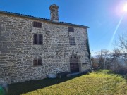 Istarska kuča - Buje (01482)