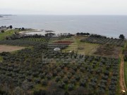 Građevinsko zemljište  - Umag (01499)