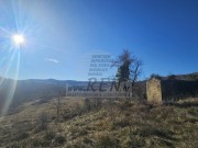 Istarska kuča - Buje (00314)