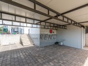 Kuća - Novigrad (00397)