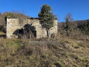 Istarska kuča  - Buje (01732)